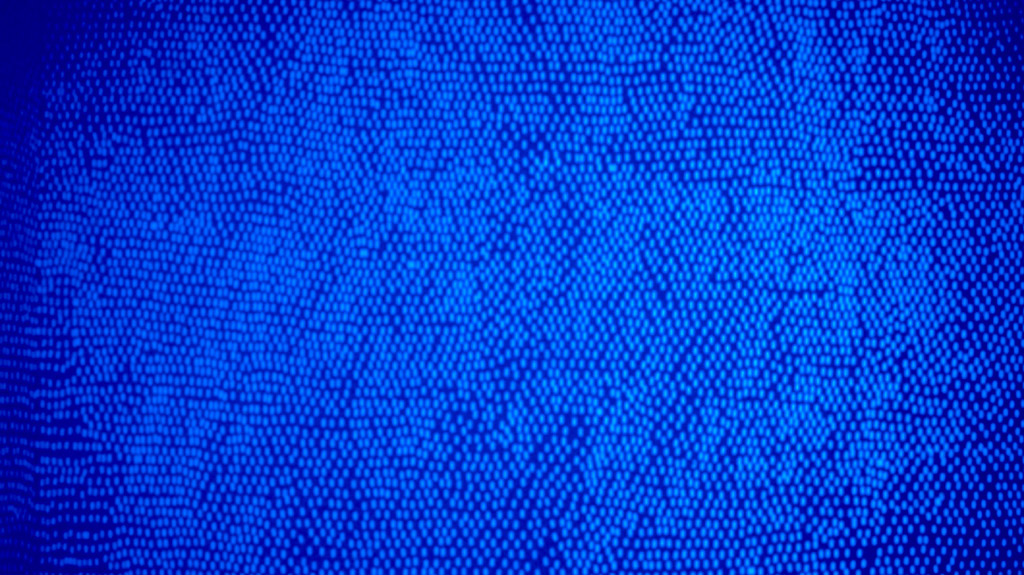'Autoahesiva', room installation: adhesive labels on 4 walls, 450 x 200cm approx each wall, 2002  