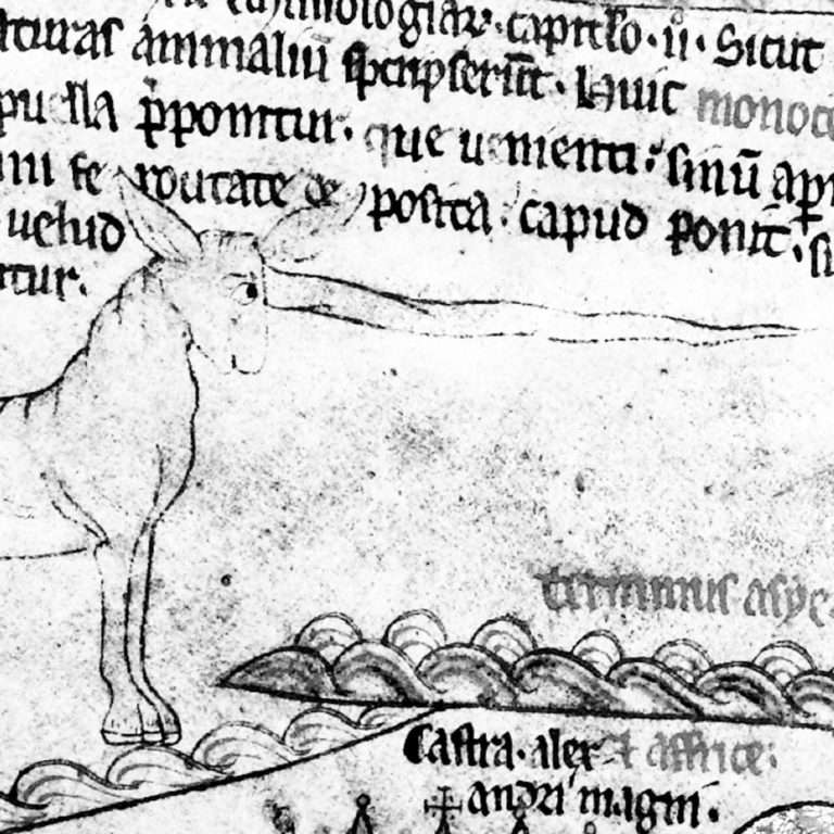 a detail of Hereford Cathedral's Mappa Mundi showing a drawing of a unicorn and some medieval text