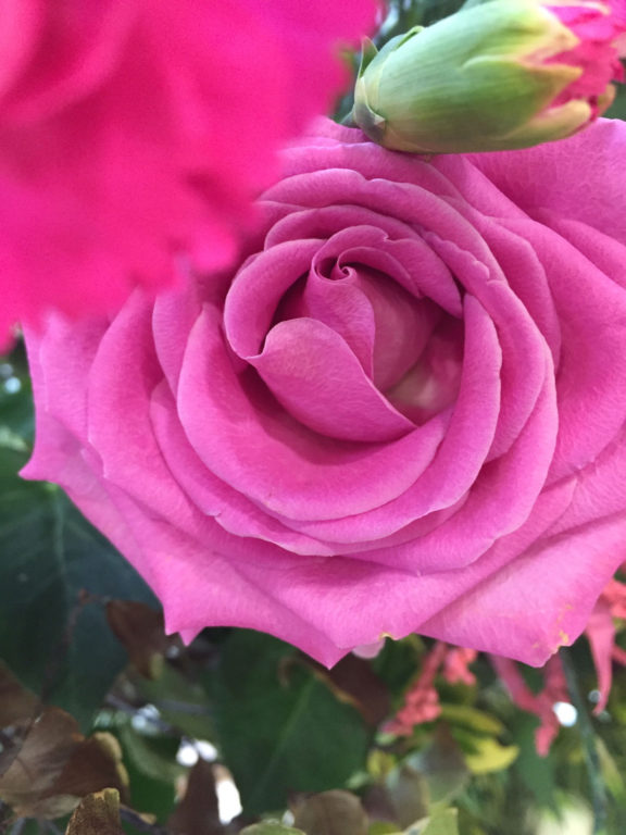 photo taken by student on a phoneography workshop led by Michelle Rumney - part of 'Holding on to Hope' festival at St Illtuds Llantwit Major