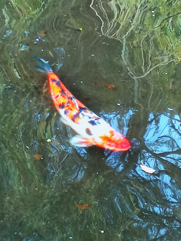 photo taken by student on a phoneography workshop led by Michelle Rumney - part of 'Holding on to Hope' festival at St Illtuds Llantwit Major