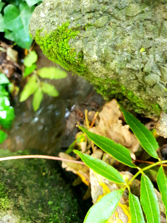 photo taken by student on a phoneography workshop led by Michelle Rumney - part of 'Holding on to Hope' festival at St Illtuds Llantwit Major