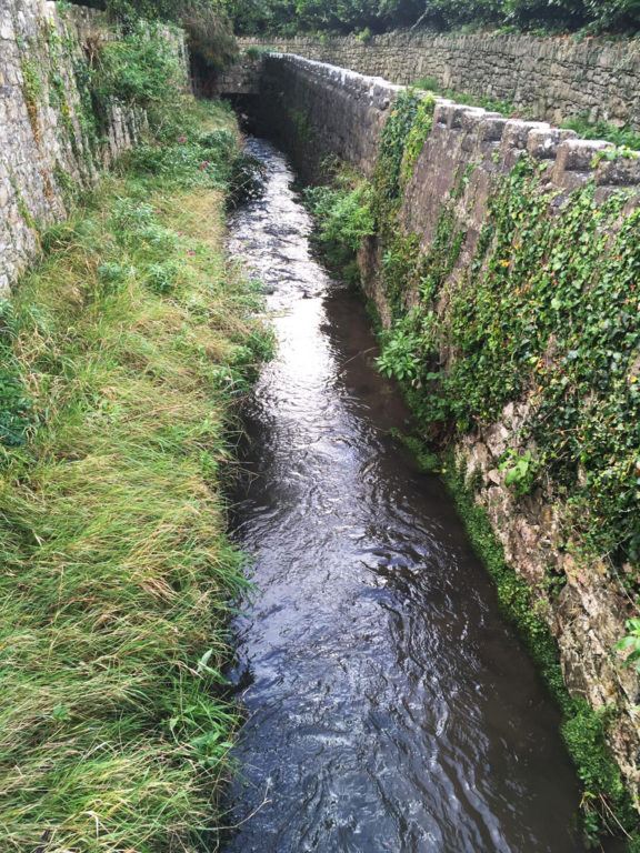 photo taken by student on a phoneography workshop led by Michelle Rumney - part of 'Holding on to Hope' festival at St Illtuds Llantwit Major