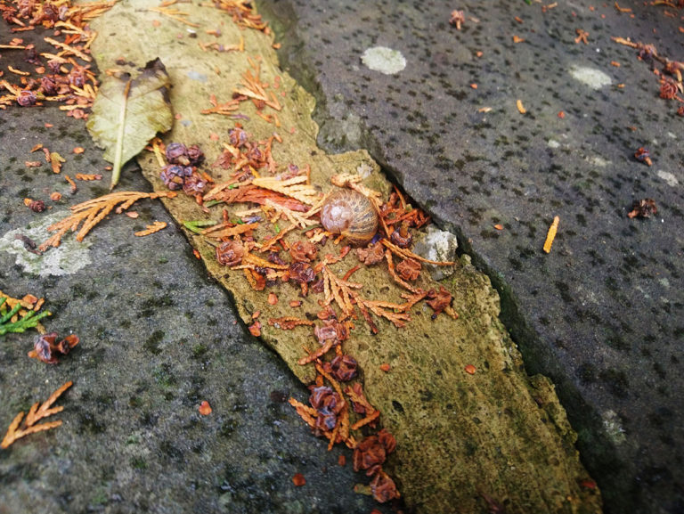 photo taken by student on a phoneography workshop led by Michelle Rumney - part of 'Holding on to Hope' festival at St Illtuds Llantwit Major