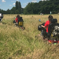 Longrun Meadow Labyrinth being run for the first time ! by Taunton artist-in-residence Michelle Rumney and Christopher Jelley