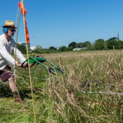Artist Christopher Jelley mowing Longrun Meadow Labyrinth in Taunton for The Great Get Together - June 2017